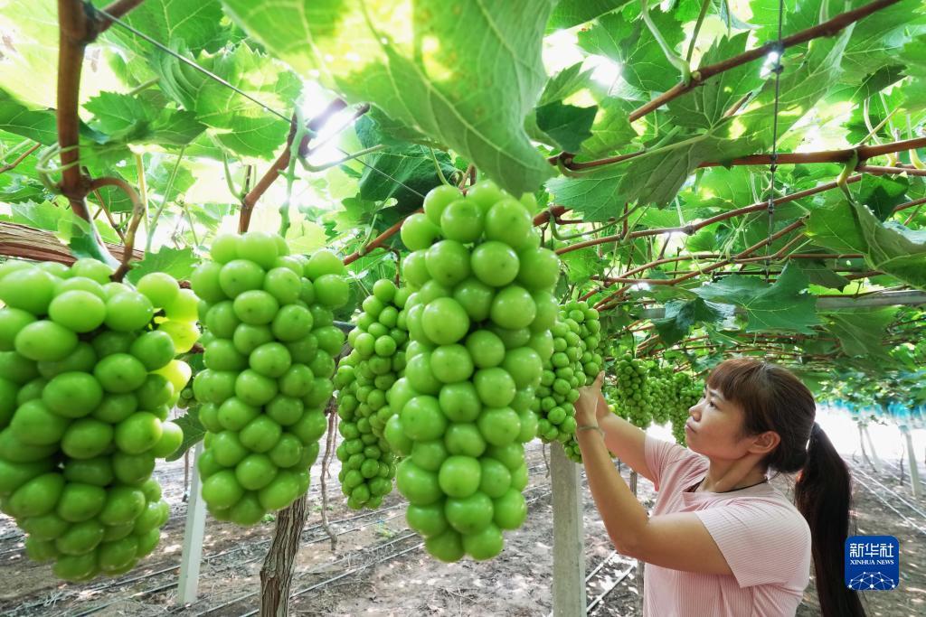 2018白菜网站彩金